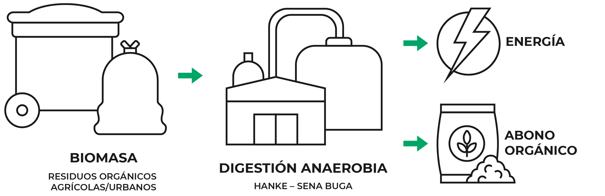 HANKE_Digestion-Anaerobia